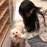 点点骑士团官方版下载